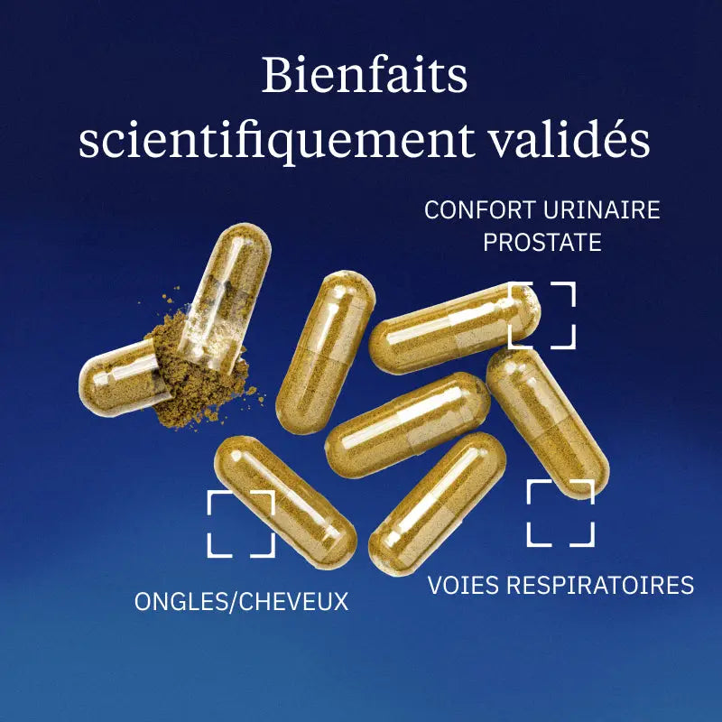 racine d ortie bienfaits