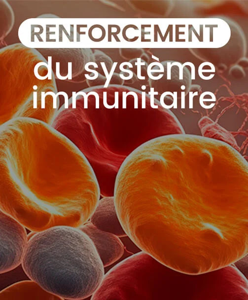 renforcement du système immunitaire