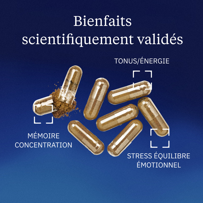 Rhodiola rosea Bienfaits
