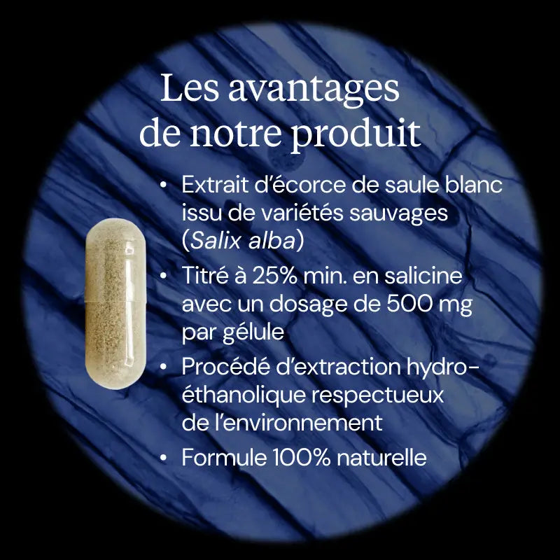 saule blanc hero image avantages