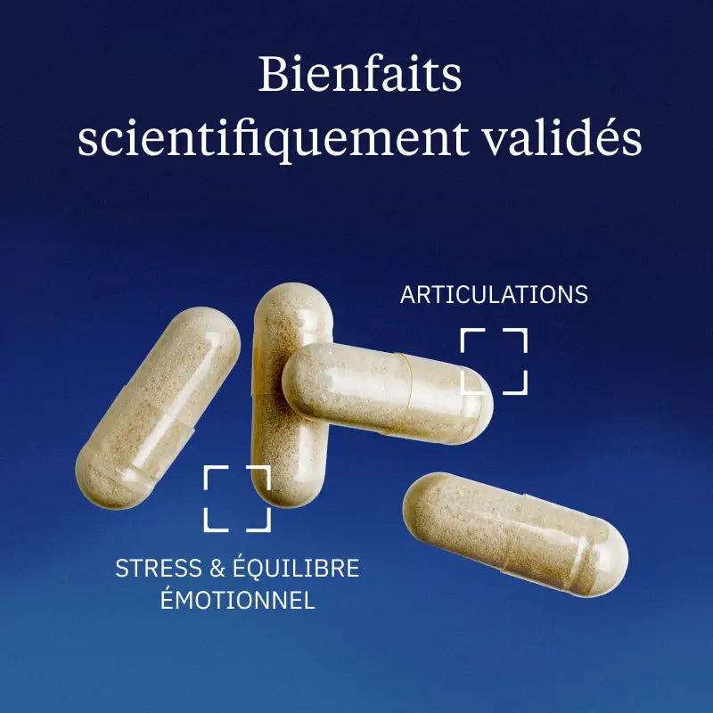 saule blanc hero image bienfaits