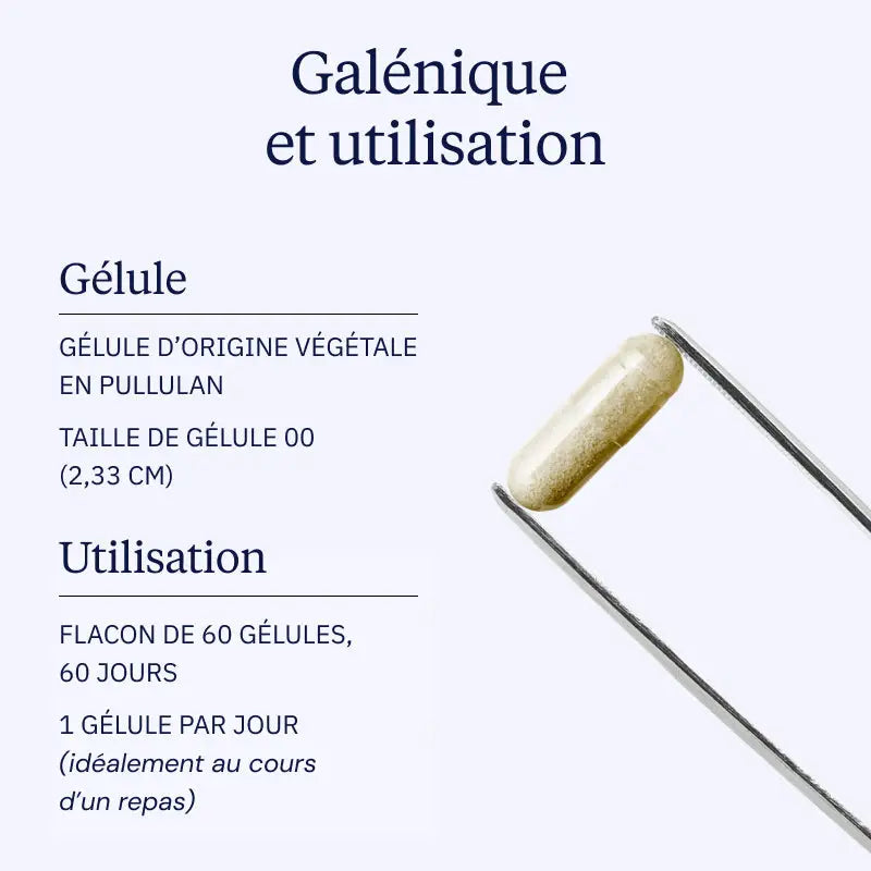 saule blanc hero image galenique