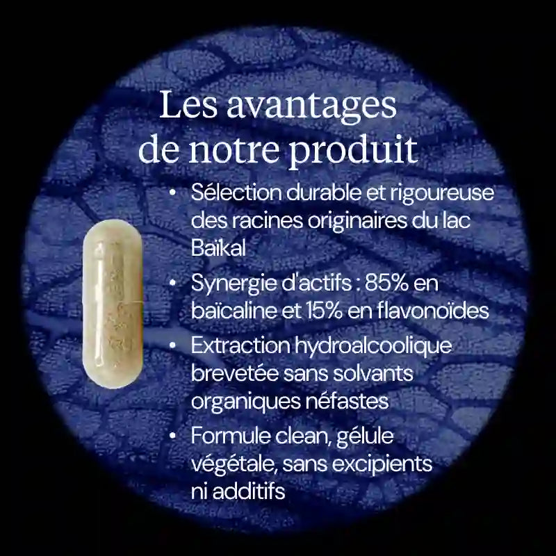 scutellaria baicalensis avantages