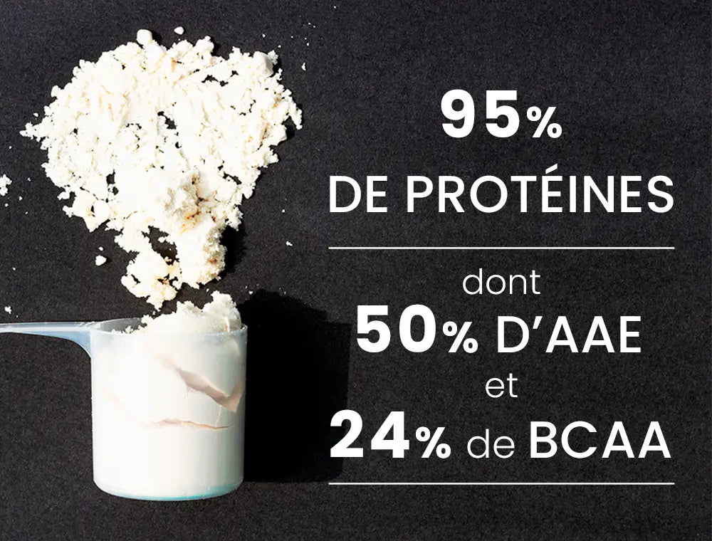 sèche musculaire whey