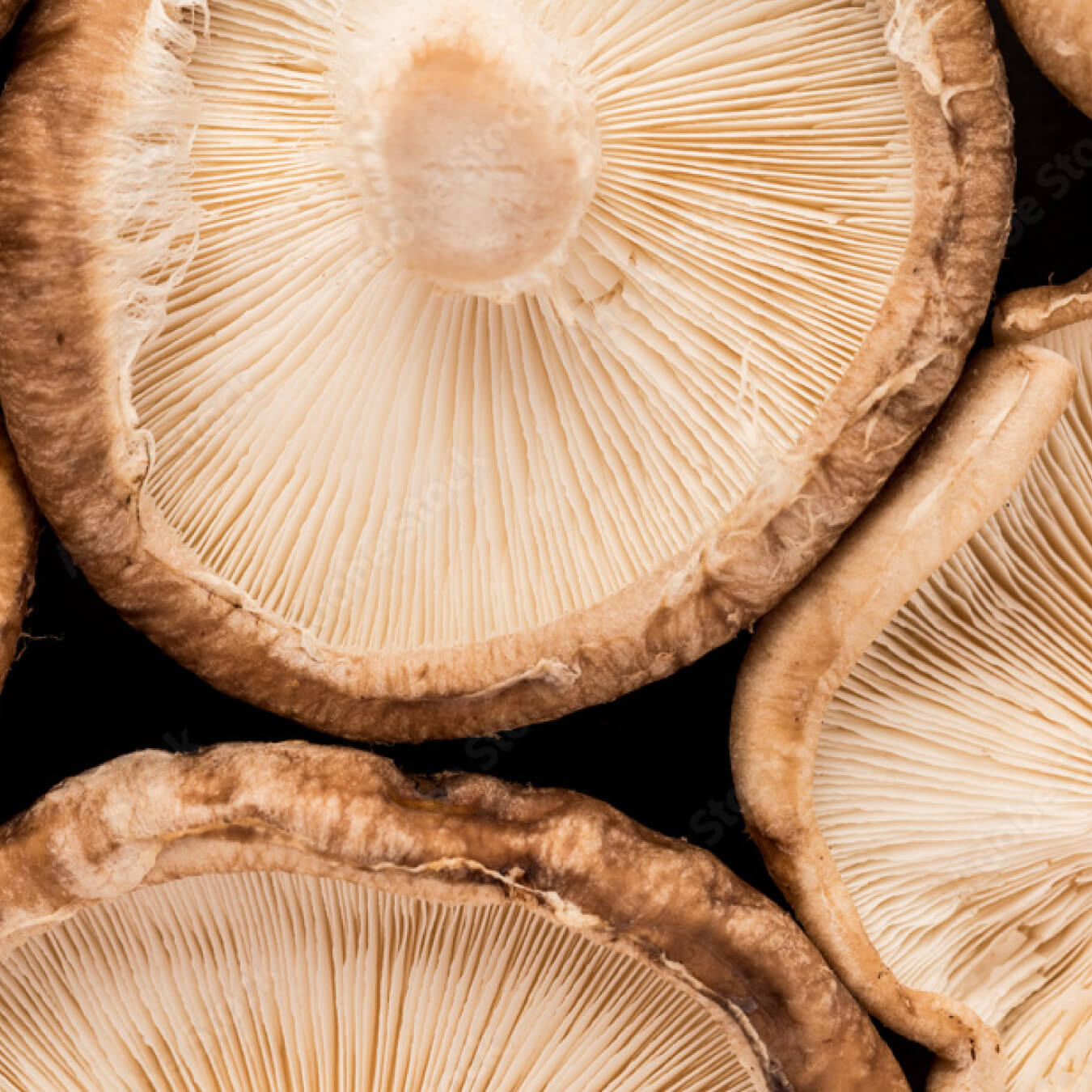 shiitake image ingredient