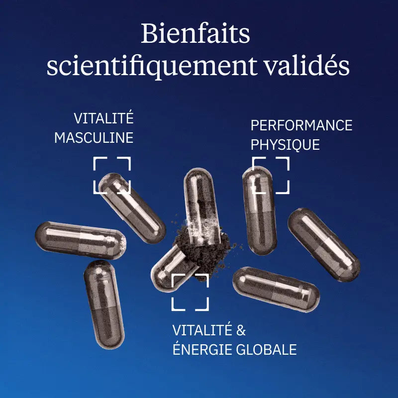 Shilajit pur bienfaits