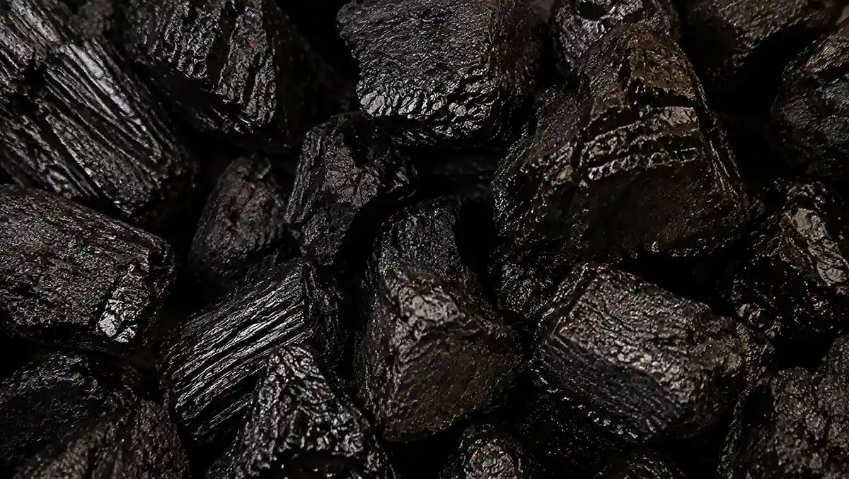 shilajit ingredient