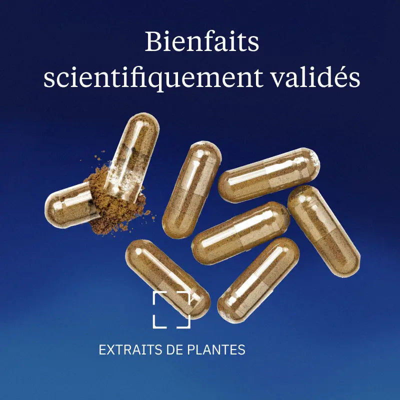 Sulforaphane - Extrait de brocolis