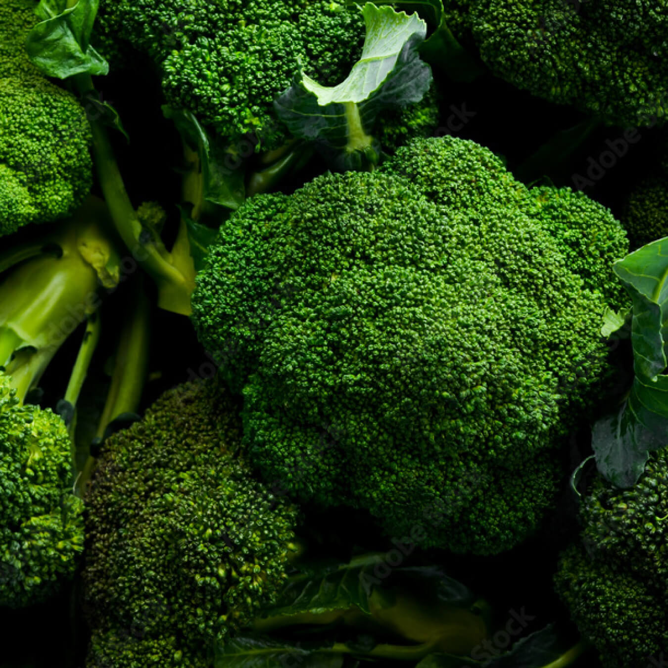 sulforaphane image ingredient