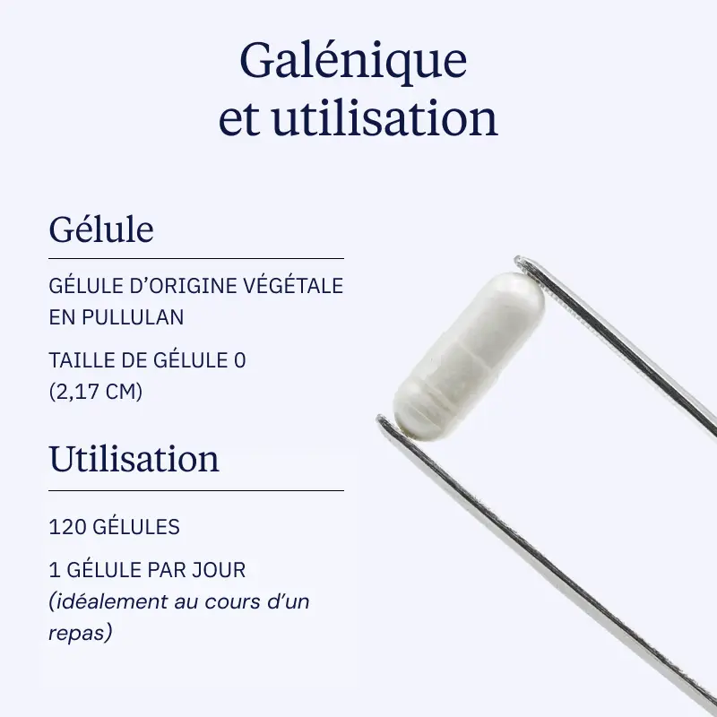 TMG : Trimethylglycine galenique