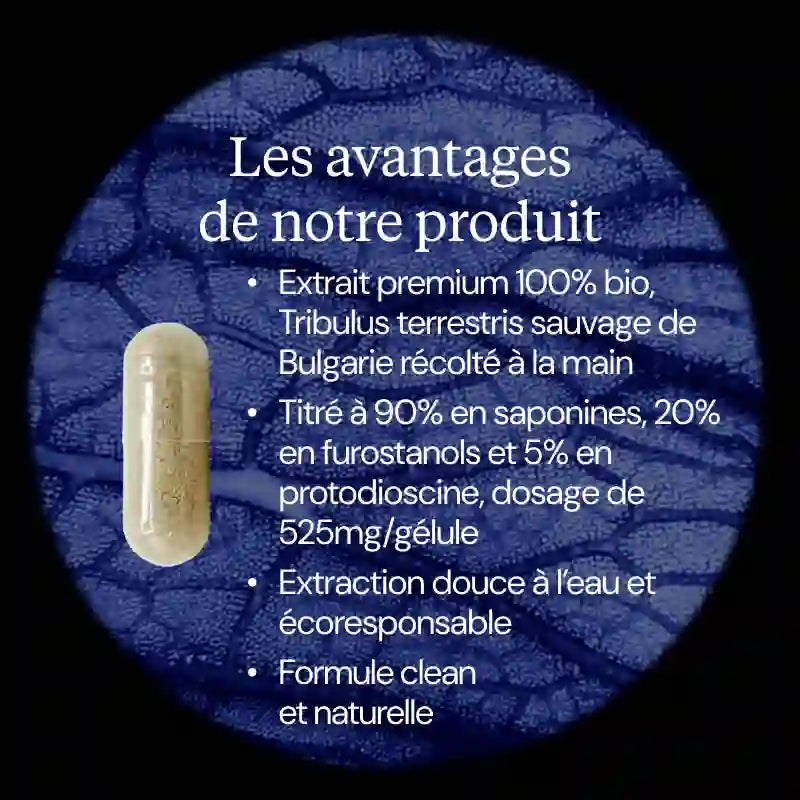 Tribulus terrestris BIO