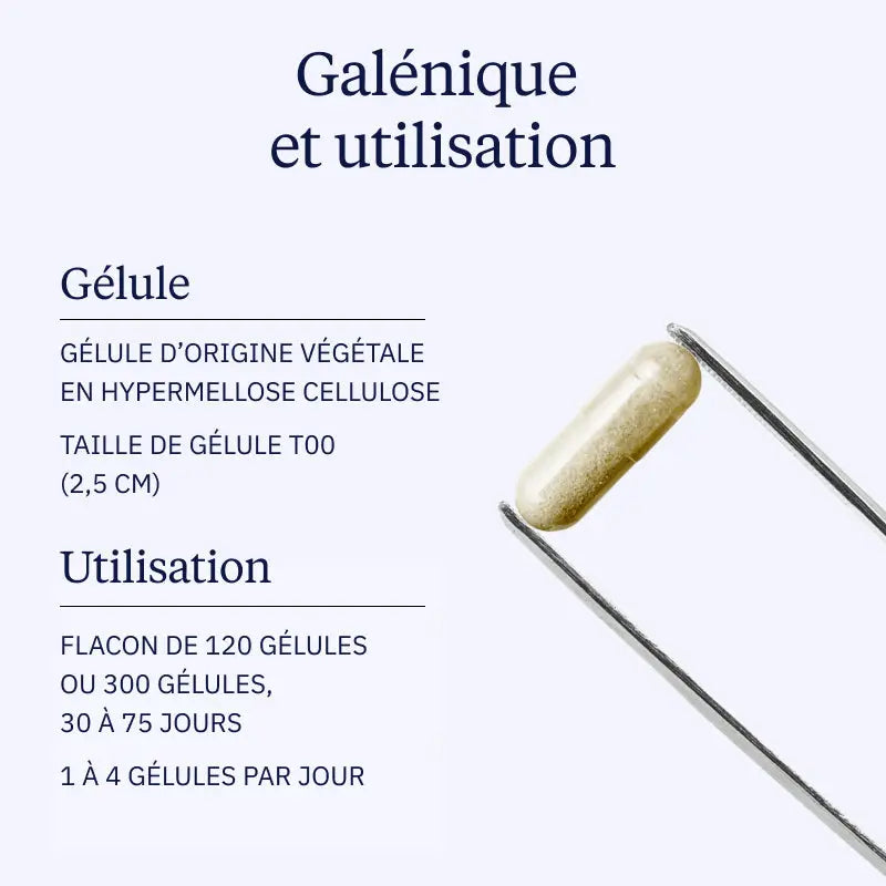 Tribulus terrestris BIO