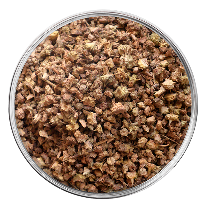 tribulus terrestris image matiere