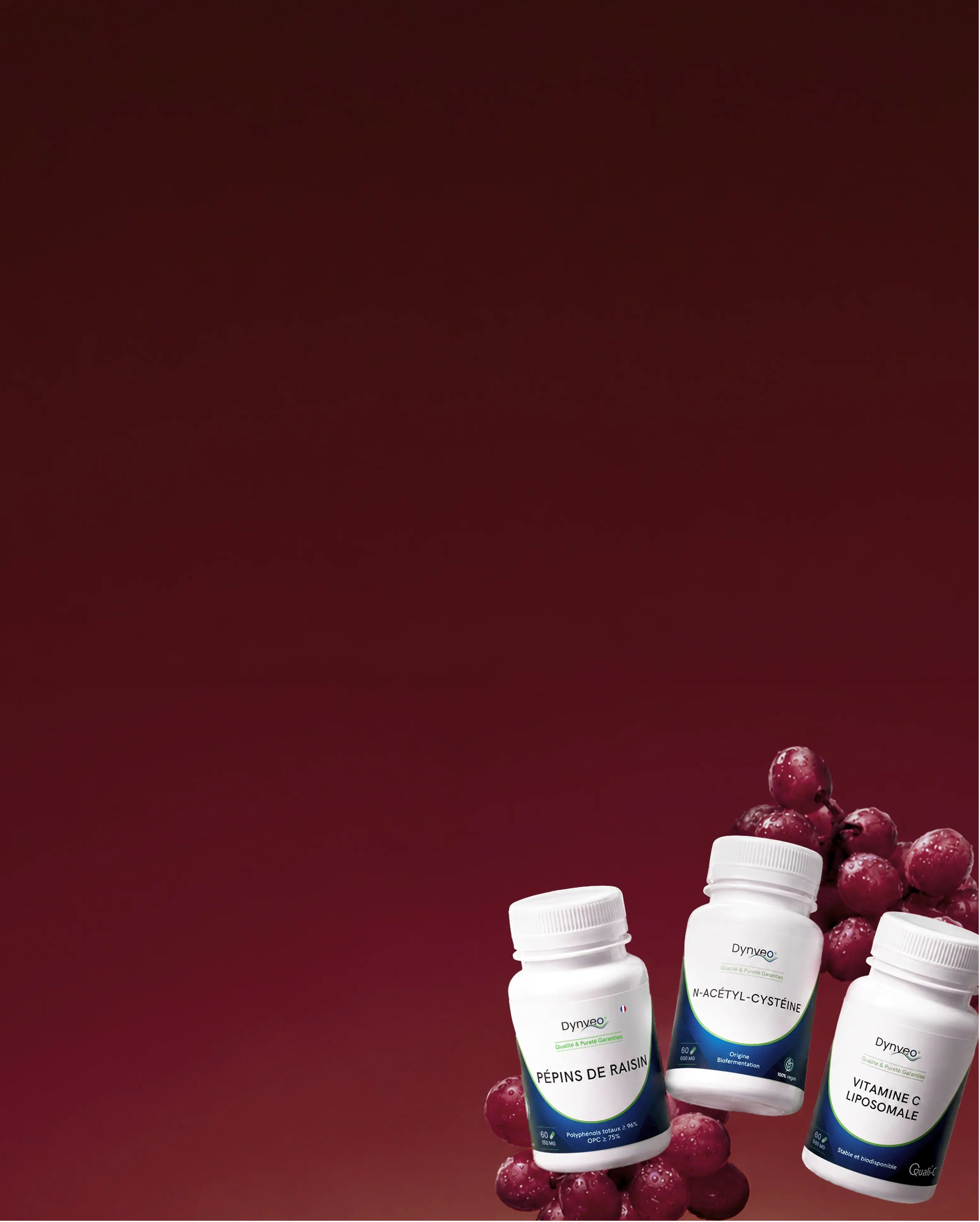 l-carnitina dynveo 500 mg 60 cpsulas reviews L-Carnitine Pot Of Capsules Dynveo : Laboratoire franais expert