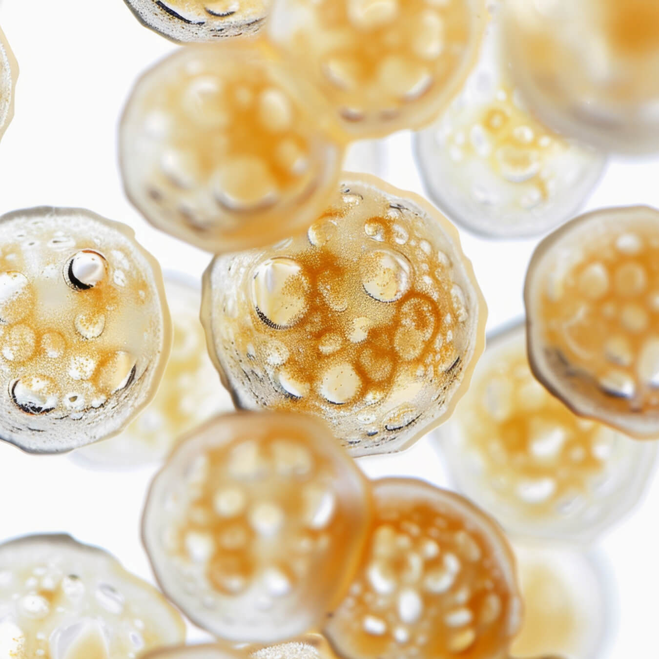 ubiquinol image ingredient