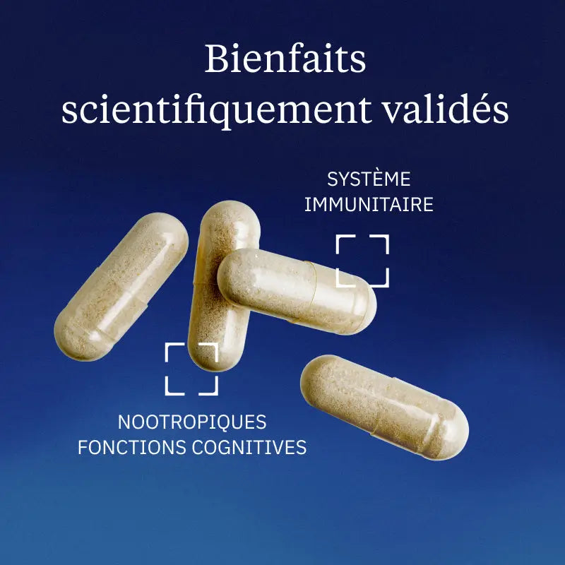 vitamine b6 hero image bienfaits