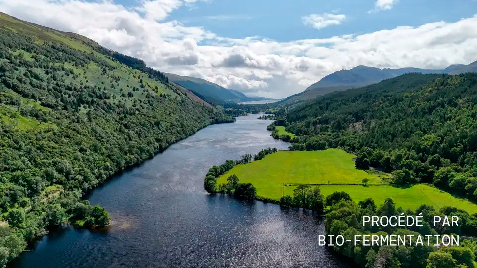 vitamine c image schema bloc