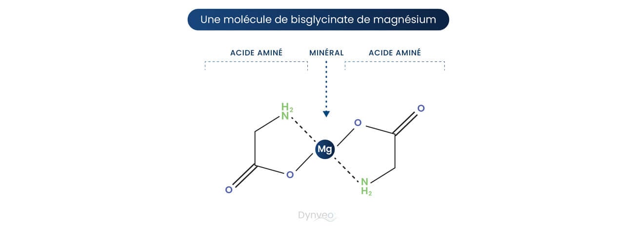 molécule bisglycinate magnesium