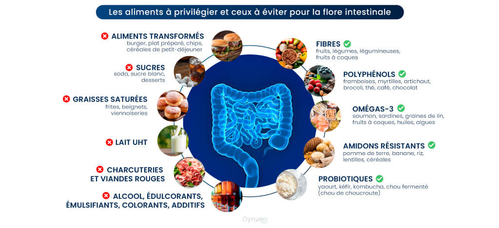 Alimentation et flore intestinale