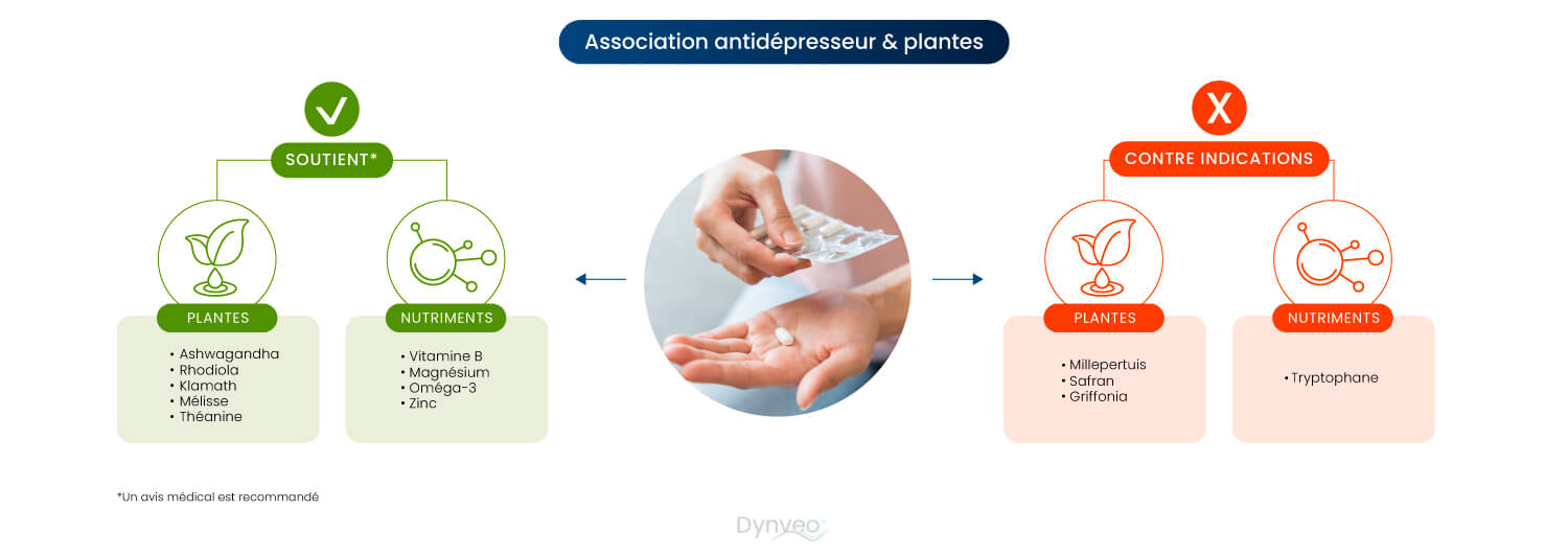 plante bien être
