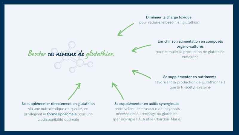 Augmenter son niveau de glutathion Augmenter son niveau de glutathion