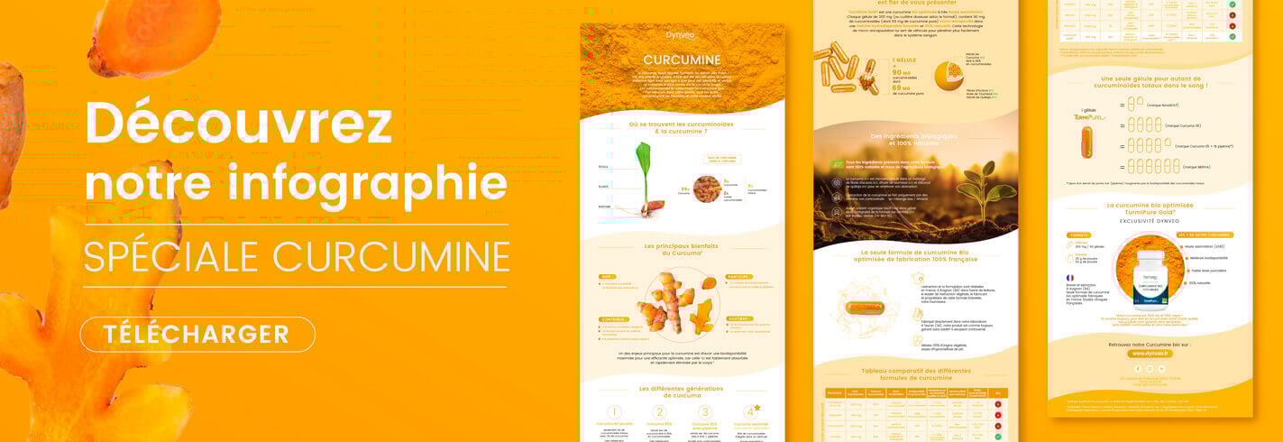 infographie curcumine Dynveo