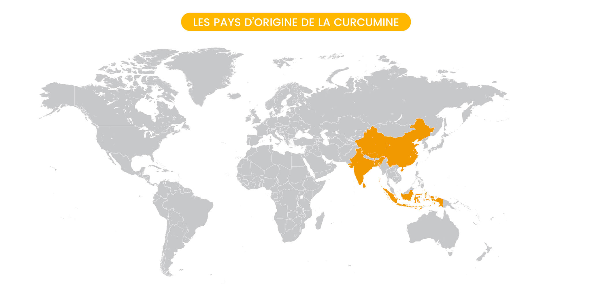 Origines de la curcumine