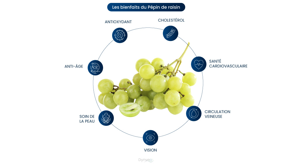 vertus extrait de pepins de raisin
