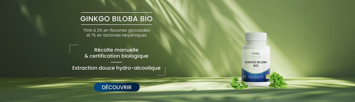 Découvrez notre ginkgo biloba bio