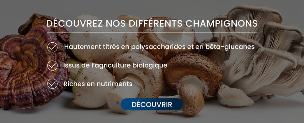 champignon beta glucane
