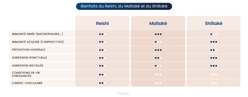 comparatif-champignon reishi maitake shiitake