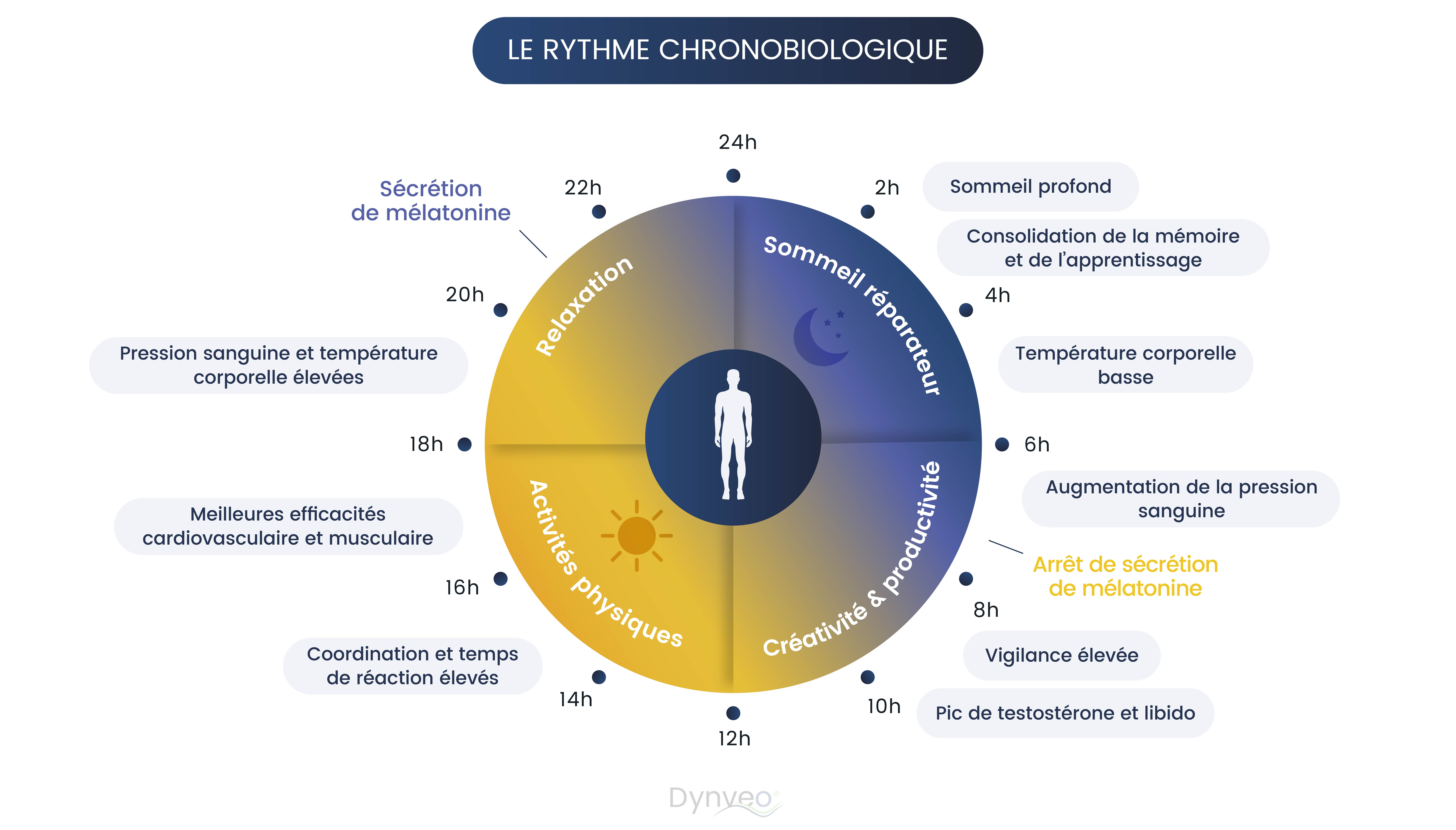 Horloge biologique