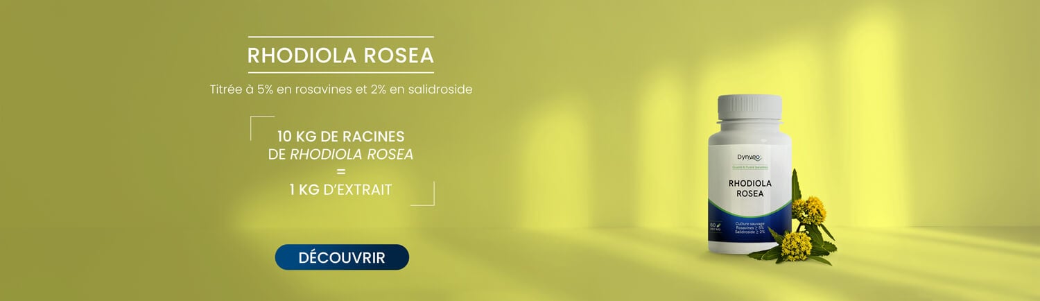 Découvrez la rhodiola rosea en gélules