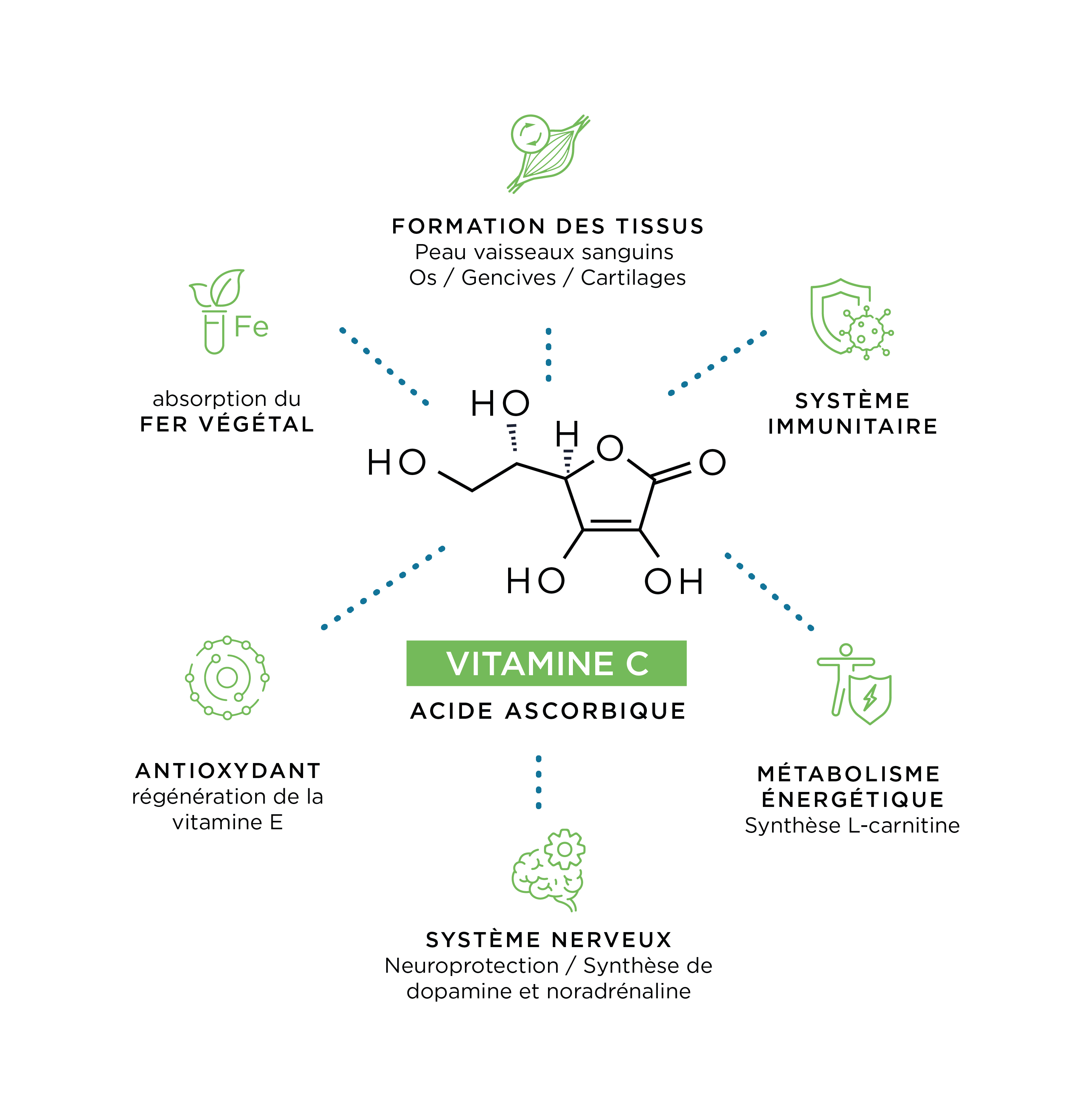 Bienfaits vitamine c Bienfaits vitamine c