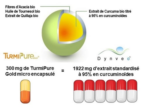 La microencapsulation du curcuma améliore sa solubilité et augmente sa biodisponibilité La microencapsulation du curcuma améliore sa solubilité et augmente sa biodisponibilité