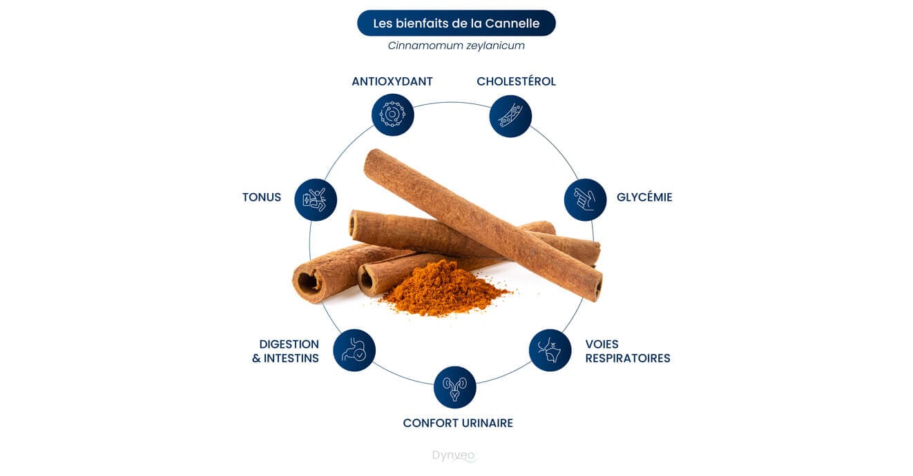 Bienfaits de la cannelle