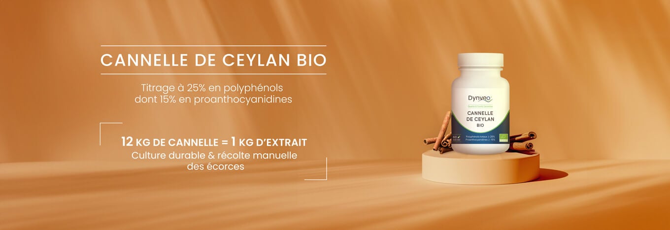 Cannelle ceylan bio Dynveo