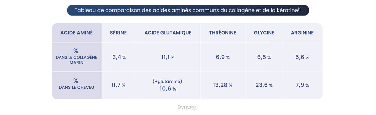 acide amine collagene