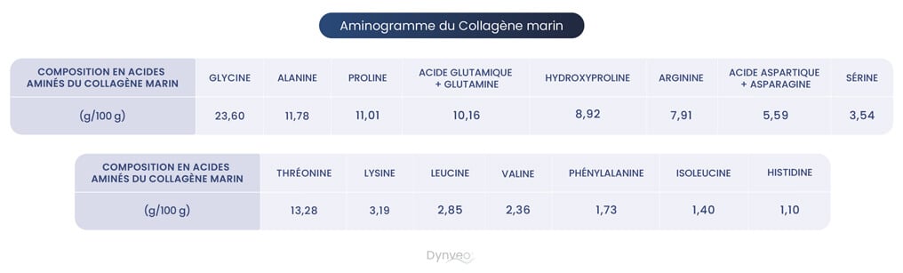 collagene acide amine