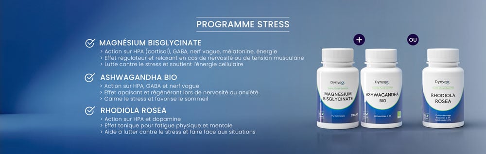 programme stress