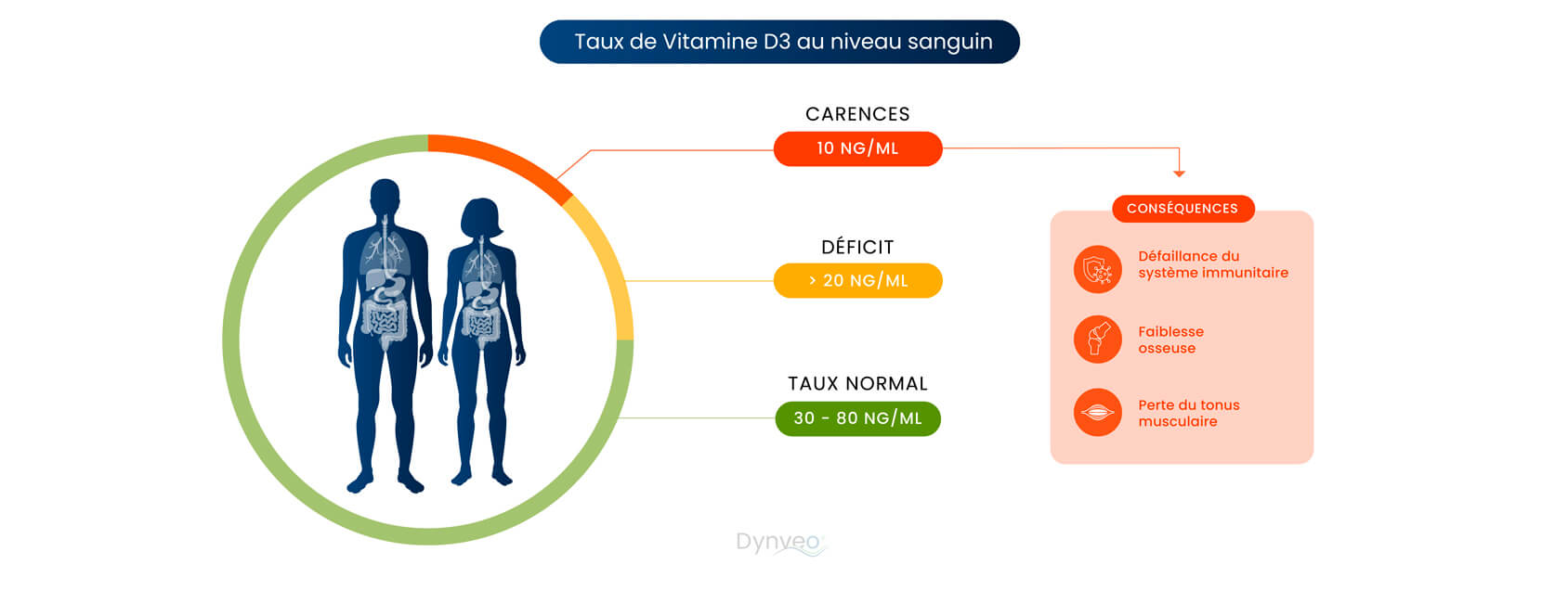Vitamine D dans le sang
