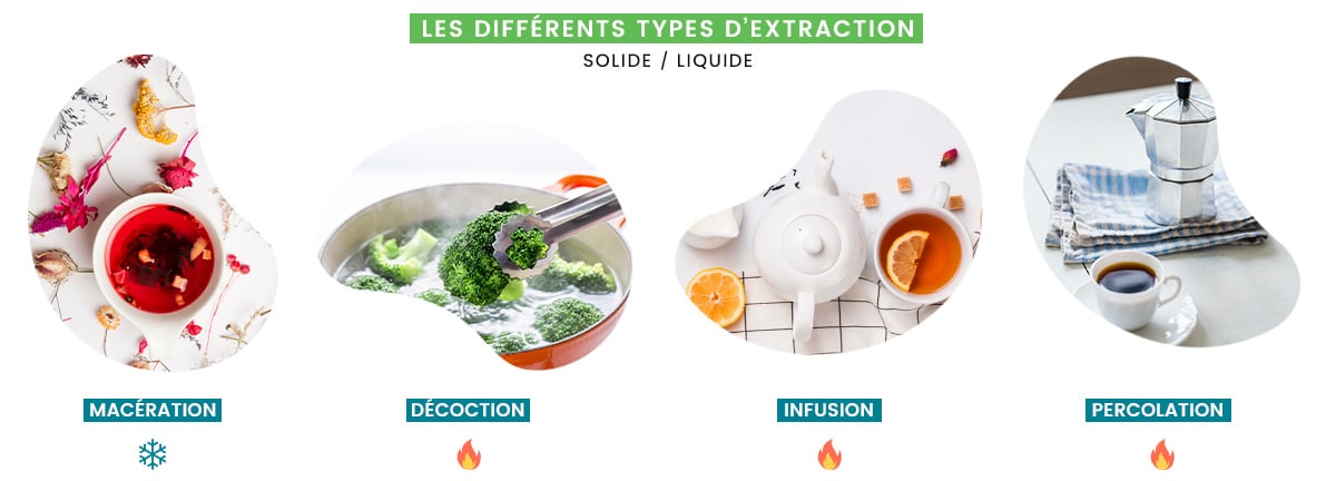 Les différents types d'extraction végétale