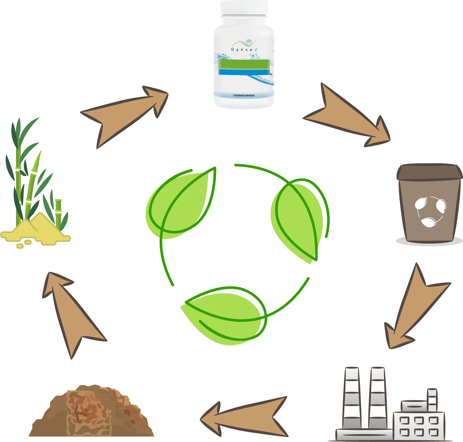 Cycle de vie d'un flacon compostable Cycle de vie d'un flacon compostable