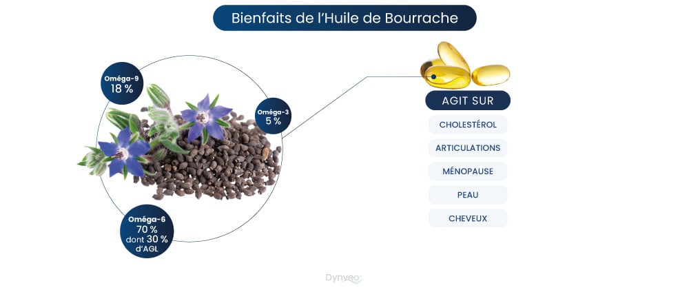 Huile de bourrache et cholesterol