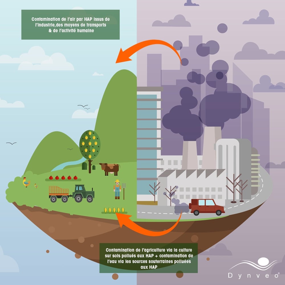 Illustration de la contamination de l'air et des sols par les hap