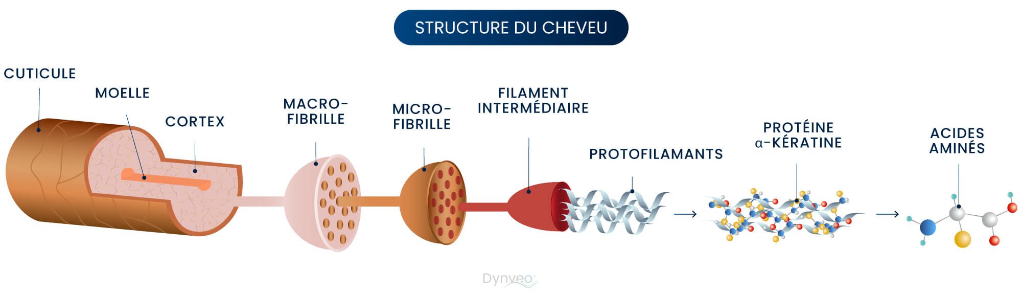 bienfaits keratine et cheveux