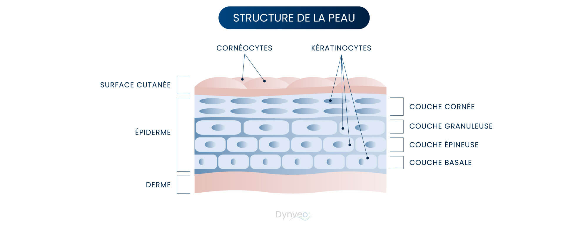 effets de la keratine sur la peau 