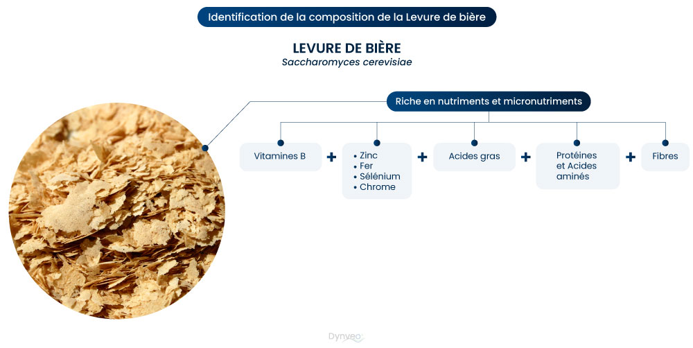 composition levure de bière