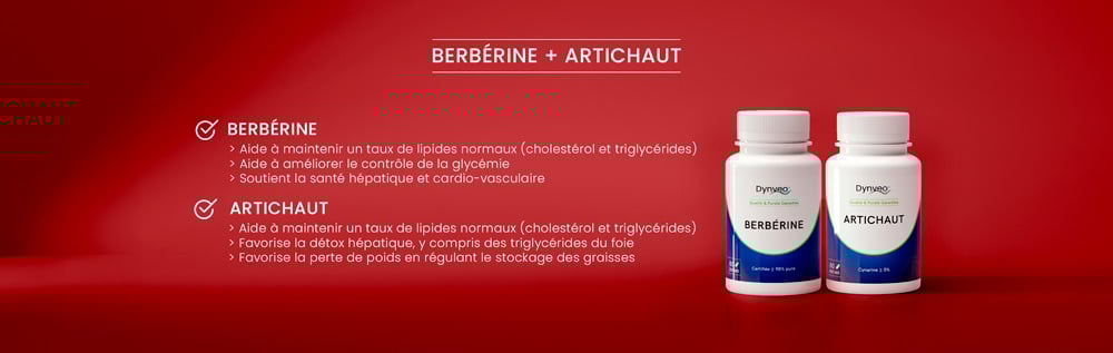 berberine et artichaut Dynveo