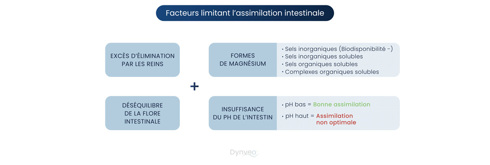 manque de magnesium dans organisme